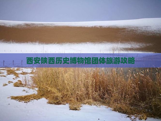 湘西到西安陕西历史博物馆团体旅游