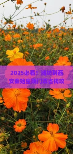 潍坊到西安秦始皇帝陵博物院门票