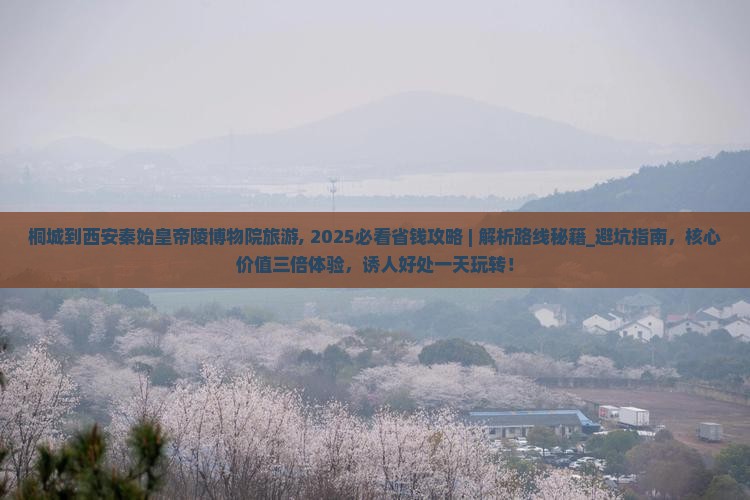 桐城到西安秦始皇帝陵博物院旅游