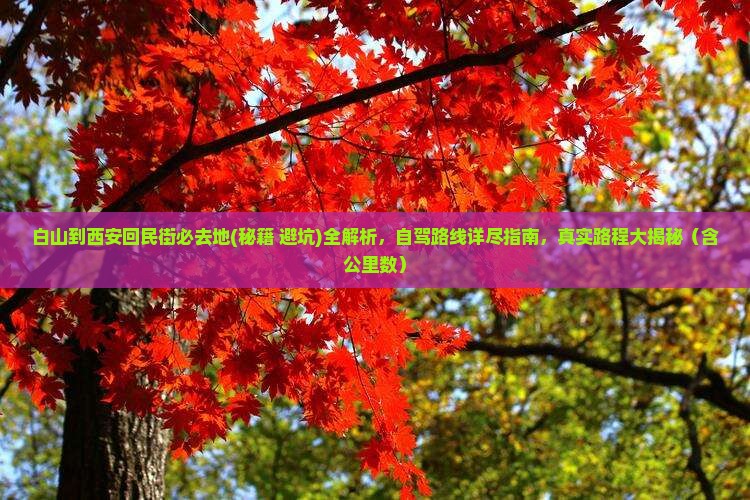 白山到西安回民街必去地