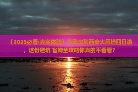 武汉到西安大雁塔四日游