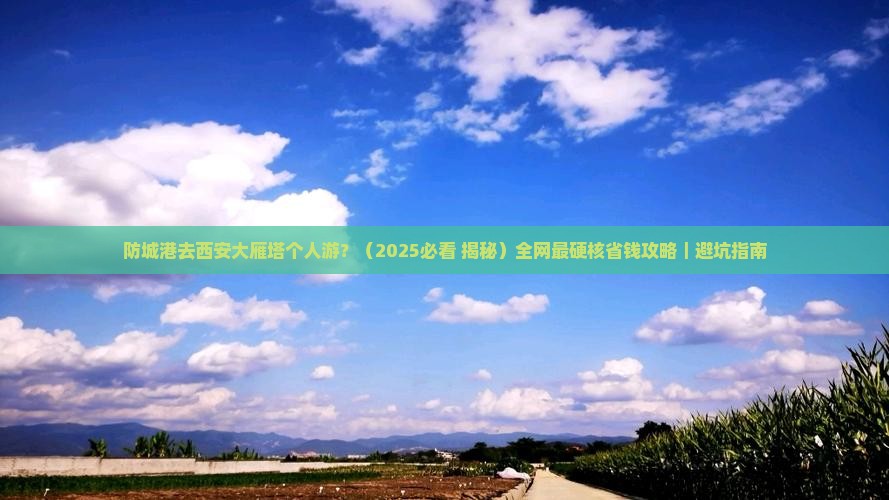 防城港去西安大雁塔个人游