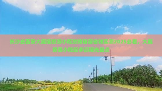 长沙去西安大雁塔旅游小吃