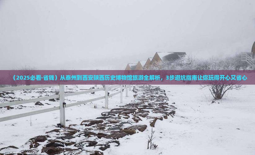 泰州到西安陕西历史博物馆旅游