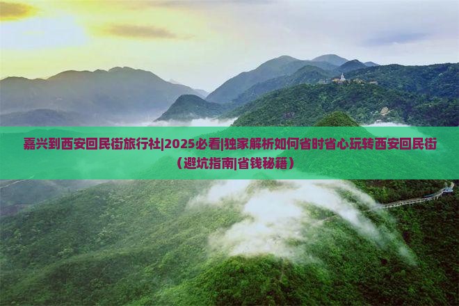 嘉兴到西安回民街旅行社