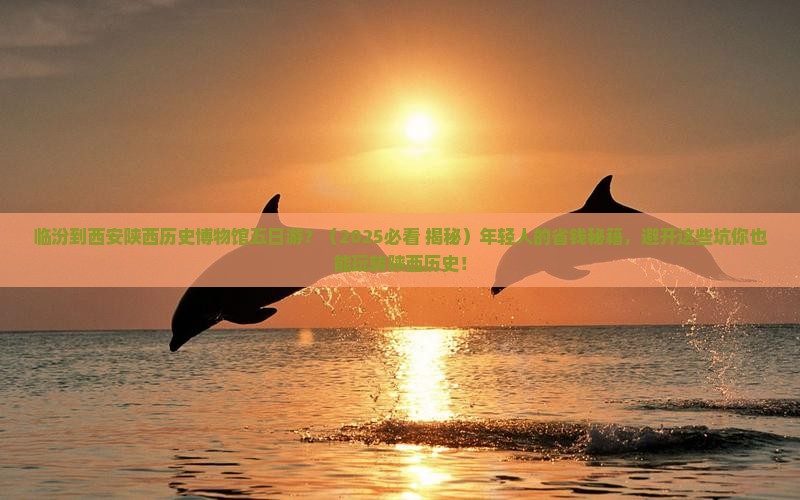 临汾去西安陕西历史博物馆五日游