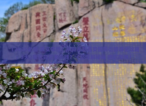 新余去西安回民街旅游