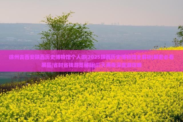 徐州去西安陕西历史博物馆个人游