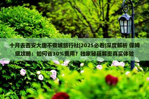 十月去西安大唐不夜城旅行社