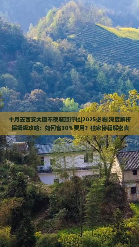 十月去西安大唐不夜城旅行社