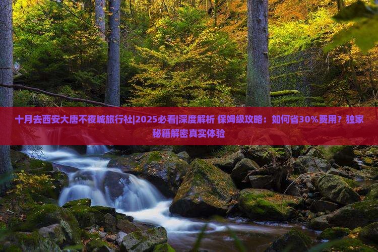 十月去西安大唐不夜城旅行社