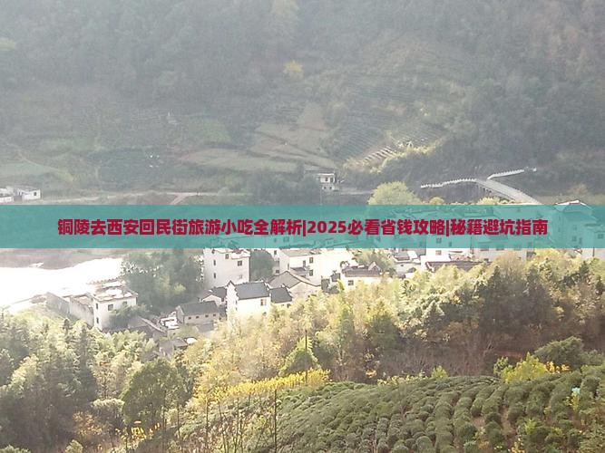 铜陵去西安回民街旅游小吃