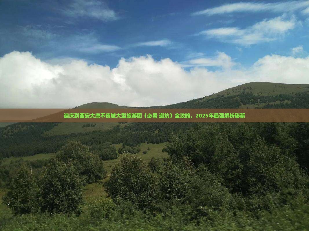 迪庆到西安大唐不夜城大型旅游团