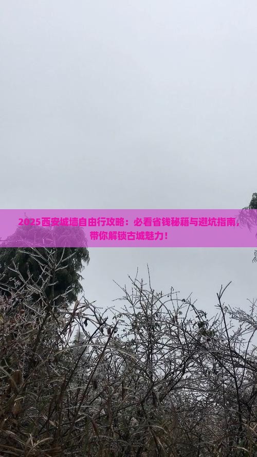 营口去西安城墙自由团
