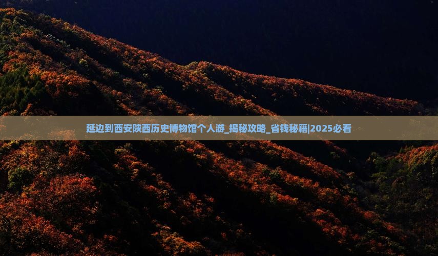 延边到西安陕西历史博物馆个人游