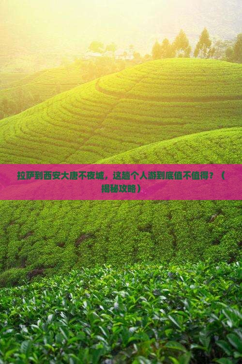 拉萨到西安大唐不夜城个人游