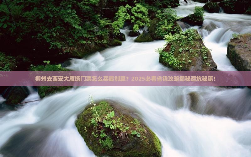 柳州去西安大雁塔门票