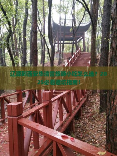 辽源到西安华清宫旅游小吃 辽源到西安华清宫旅游小吃