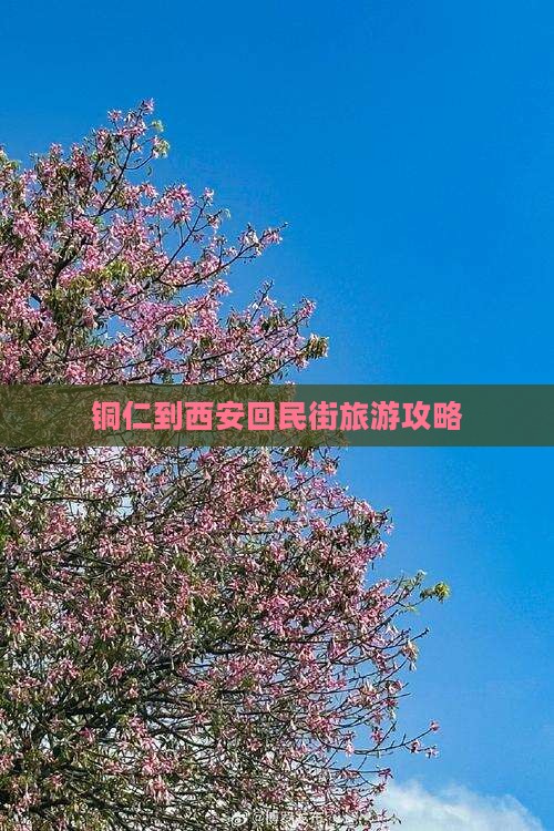 铜仁去西安回民街哪里玩