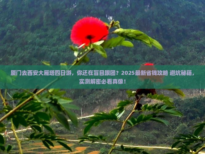 厦门去西安大雁塔四日游