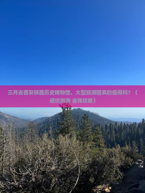 三月去西安陕西历史博物馆大型旅游团