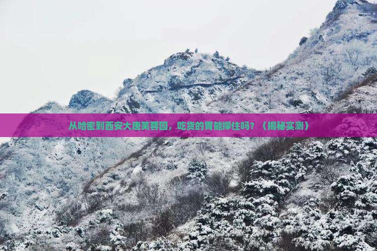 哈密到西安大唐芙蓉园旅游小吃