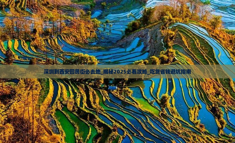 深圳到西安回民街必去地