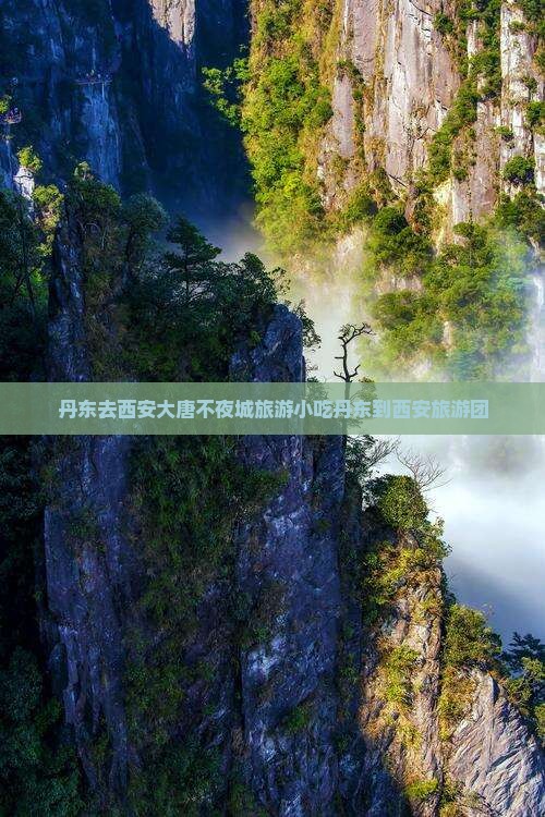 丹东去西安大唐不夜城旅游小吃