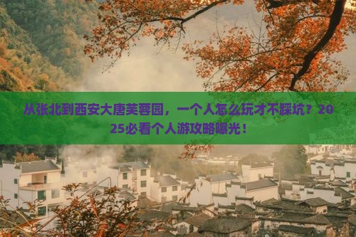 张北到西安大唐芙蓉园个人游