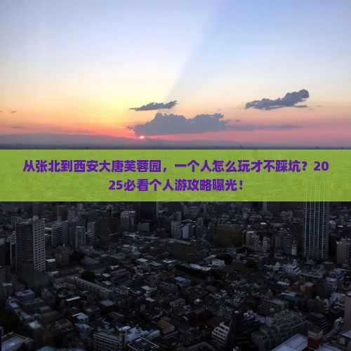 张北到西安大唐芙蓉园个人游