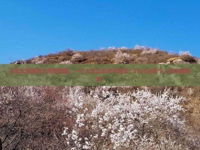 张北到西安大唐芙蓉园个人游