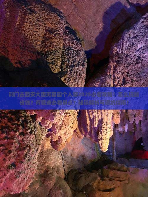 荆门去西安大唐芙蓉园个人游