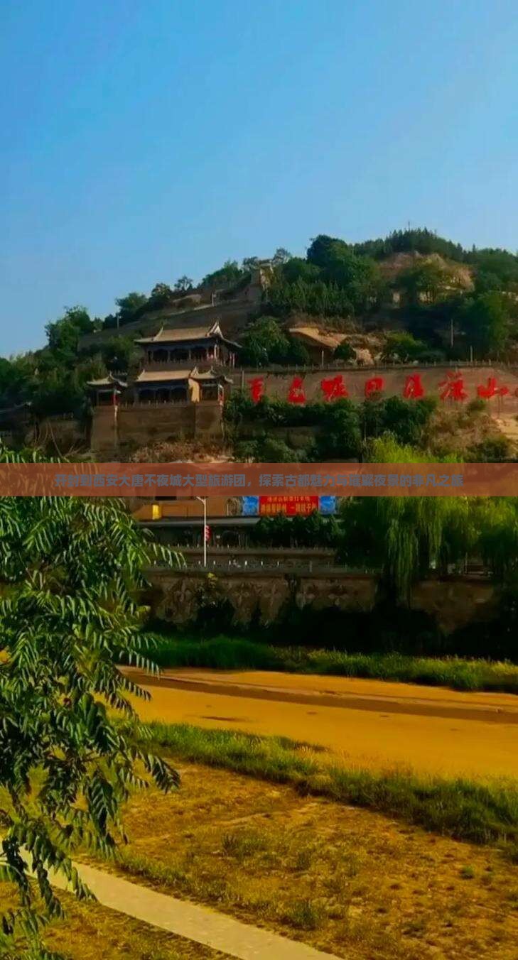 开封到西安大唐不夜城大型旅游团