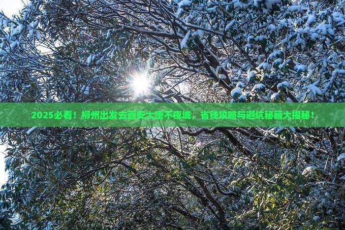 柳州去西安大唐不夜城景点