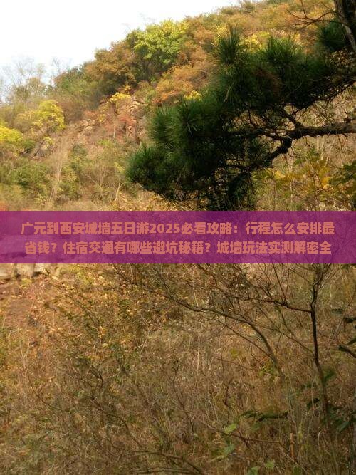 广元到西安城墙五日游