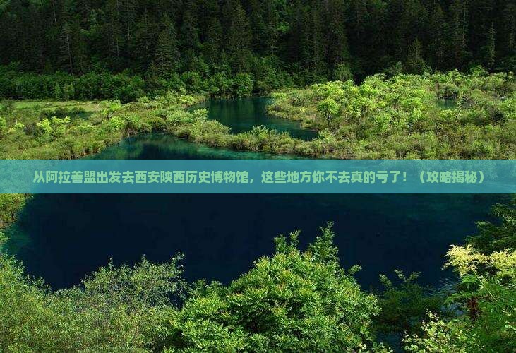 阿拉善盟去西安陕西历史博物馆必去地