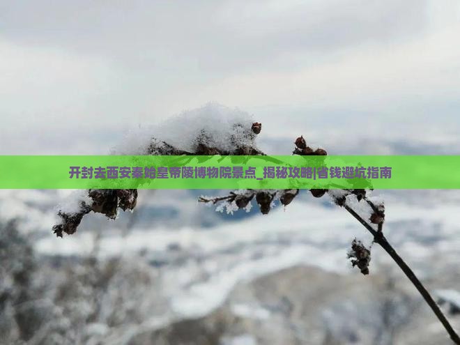 开封去西安秦始皇帝陵博物院景点