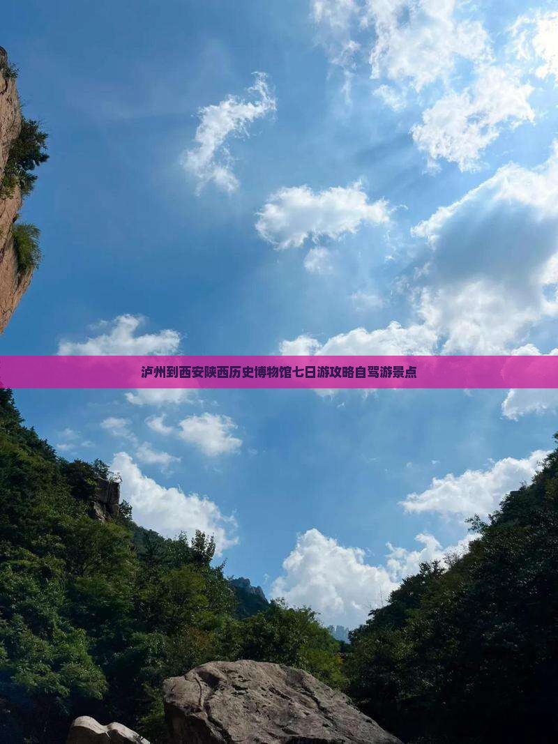 泸州到西安陕西历史博物馆七日游