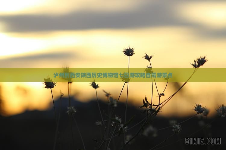 泸州到西安陕西历史博物馆七日游