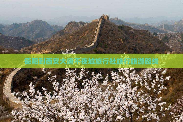 德阳去西安大唐不夜城旅行社