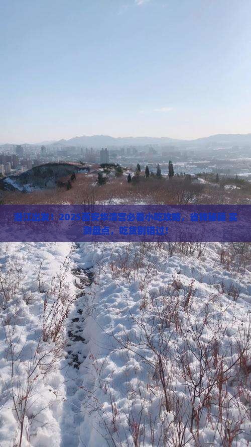 潜江到西安华清宫旅游小吃