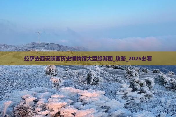 拉萨去西安陕西历史博物馆大型旅游团