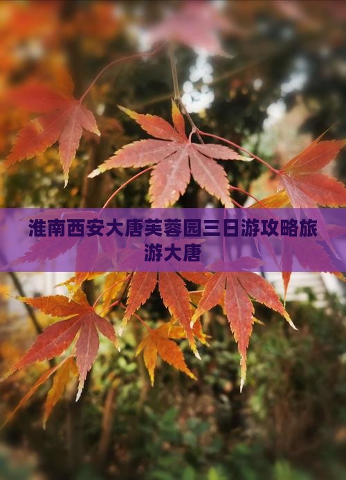 淮南到西安大唐芙蓉园三日游