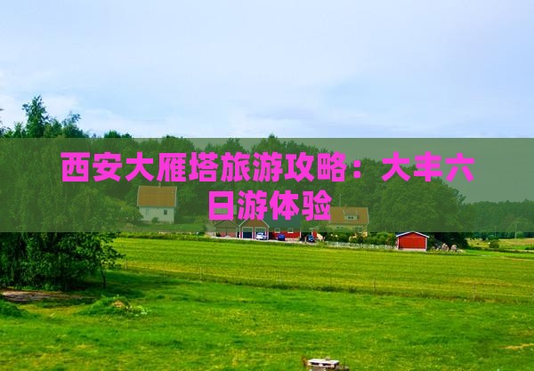 大丰去西安大雁塔六日游