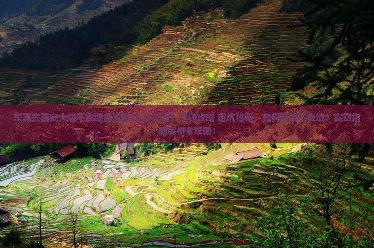 东莞去西安大唐不夜城自由团