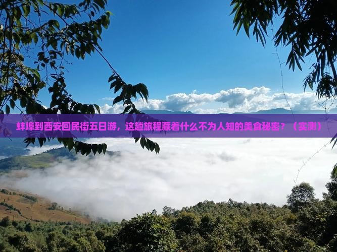 蚌埠到西安回民街五日游