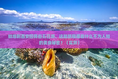 蚌埠到西安回民街五日游