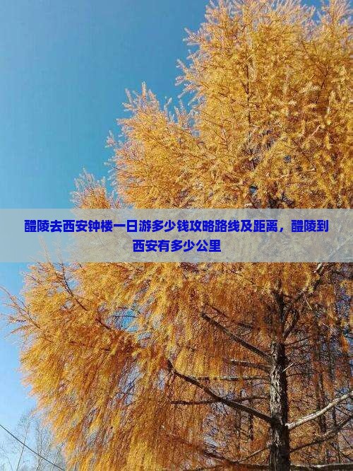 醴陵去西安钟楼一日游
