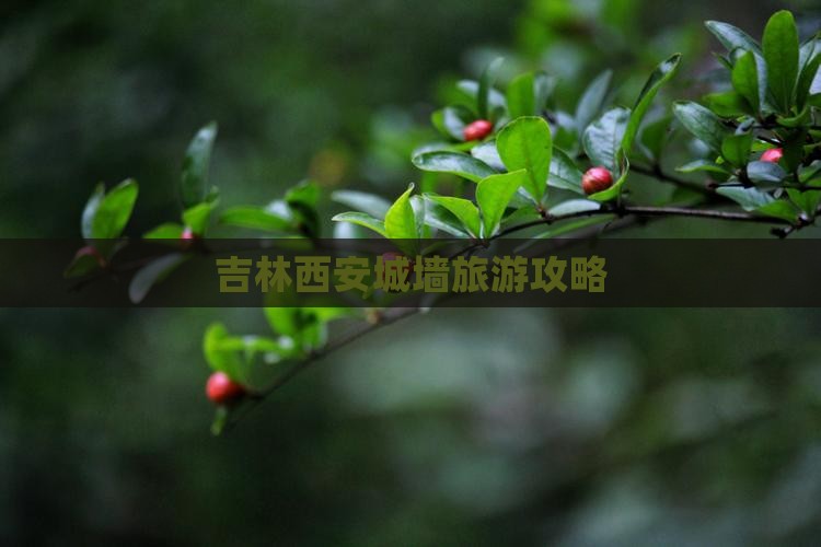 吉林去西安城墙哪里玩