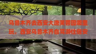 乌鲁木齐去西安大唐芙蓉园哪里玩